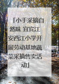 小手采摘自然味 宜宾江安西江小学开展劳动基地蔬菜采摘售卖活动
