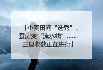 小麦田间“选秀”、蚕房变“流水线”……三夏收获正在进行