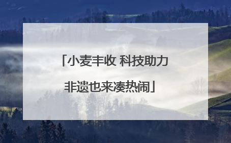 小麦丰收 科技助力 非遗也来凑热闹