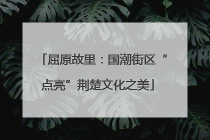 屈原故里：国潮街区“点亮”荆楚文化之美