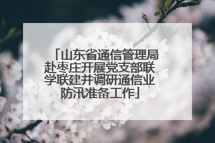 山东省通信管理局赴枣庄开展党支部联学联建并调研通信业防汛准备工作