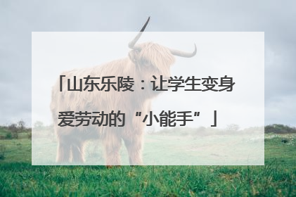 山东乐陵：让学生变身爱劳动的“小能手”