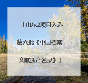 山东2项目入选第六批《中国档案文献遗产名录》