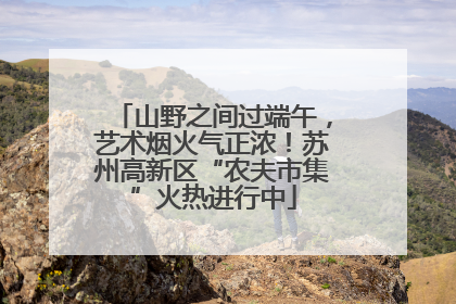 山野之间过端午，艺术烟火气正浓！苏州高新区“农夫市集”火热进行中
