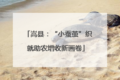 嵩县：“小蚕茧”织就助农增收新画卷