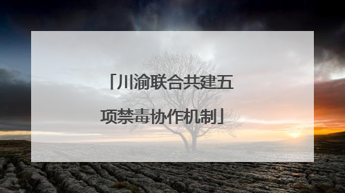 川渝联合共建五项禁毒协作机制