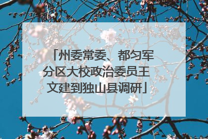 州委常委、都匀军分区大校政治委员王文建到独山县调研