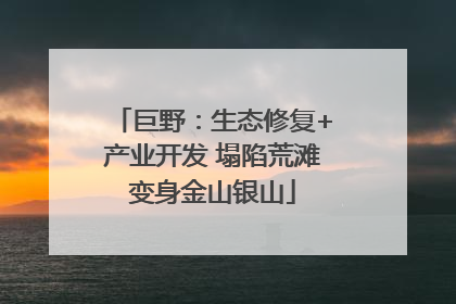 巨野：生态修复+产业开发 塌陷荒滩变身金山银山