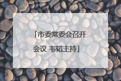市委常委会召开会议 韦韬主持