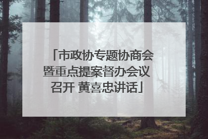 市政协专题协商会暨重点提案督办会议召开 黄喜忠讲话