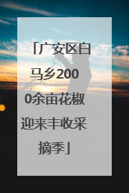 广安区白马乡2000余亩花椒迎来丰收采摘季