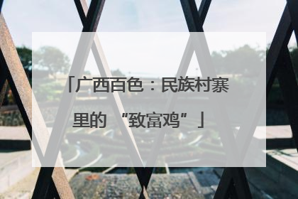 广西百色：民族村寨里的 “致富鸡”