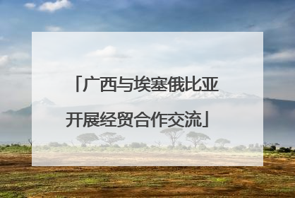 广西与埃塞俄比亚开展经贸合作交流