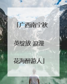 广西南宁秋英绽放 浪漫花海醉游人