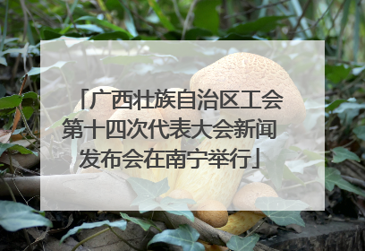 广西壮族自治区工会第十四次代表大会新闻发布会在南宁举行