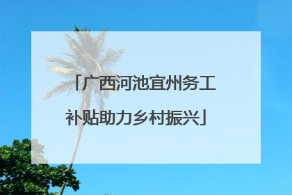 广西河池宜州务工补贴助力乡村振兴