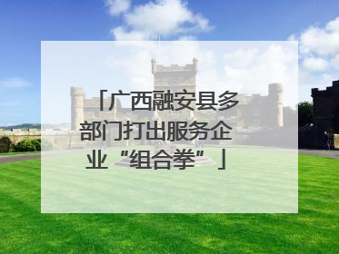 广西融安县多部门打出服务企业“组合拳”
