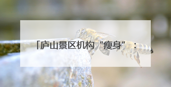 庐山景区机构“瘦身”：行政人员减少25%，事业人员少了37.5%