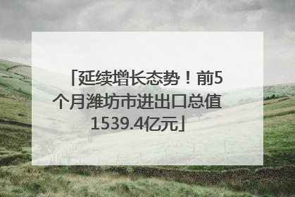 延续增长态势！前5个月潍坊市进出口总值1539.4亿元