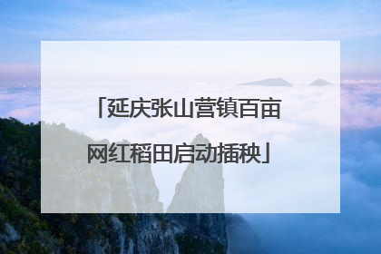 延庆张山营镇百亩网红稻田启动插秧