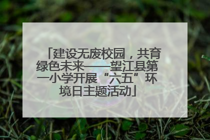 建设无废校园，共育绿色未来——望江县第一小学开展“六五”环境日主题活动