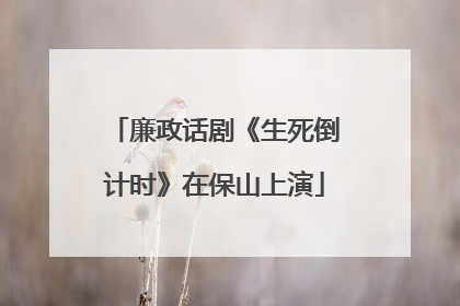 廉政话剧《生死倒计时》在保山上演