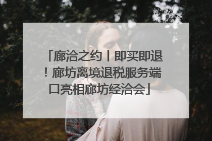 廊洽之约丨即买即退！廊坊离境退税服务端口亮相廊坊经洽会