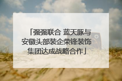强强联合 蓝天豚与安徽头部装企荣锋装饰集团达成战略合作