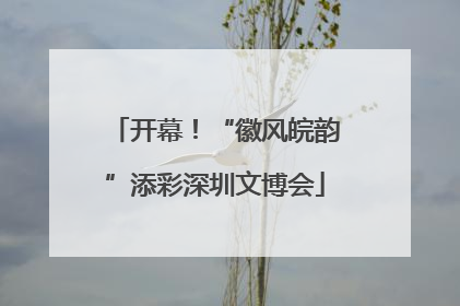 开幕！“徽风皖韵”添彩深圳文博会