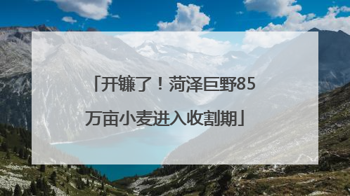 开镰了！菏泽巨野85万亩小麦进入收割期