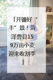开镰好“丰”景！菏泽曹县159万亩小麦迎来收割季