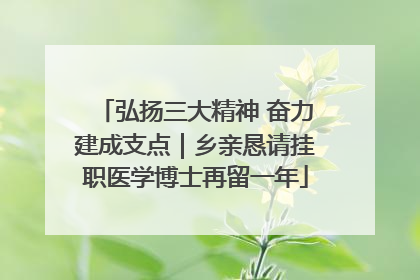 弘扬三大精神 奋力建成支点｜乡亲恳请挂职医学博士再留一年