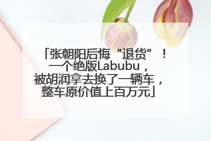 张朝阳后悔“退货”！一个绝版Labubu，被胡润拿去换了一辆车，整车原价值上百万元
