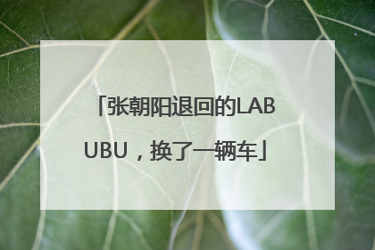 张朝阳退回的LABUBU，换了一辆车
