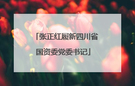 张正红履新四川省国资委党委书记
