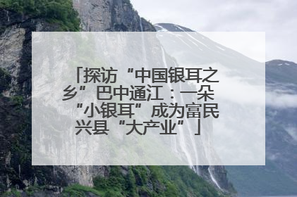 探访“中国银耳之乡”巴中通江：一朵“小银耳”成为富民兴县“大产业”