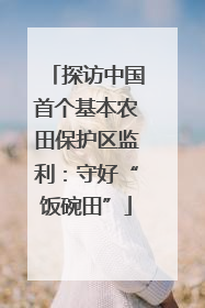 探访中国首个基本农田保护区监利：守好“饭碗田”