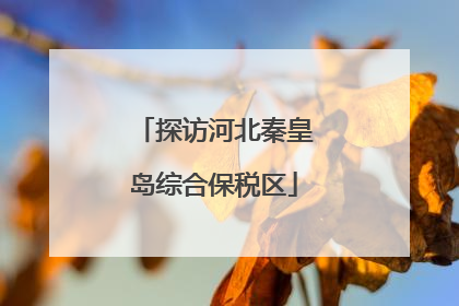 探访河北秦皇岛综合保税区