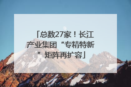 总数27家！长江产业集团“专精特新”矩阵再扩容