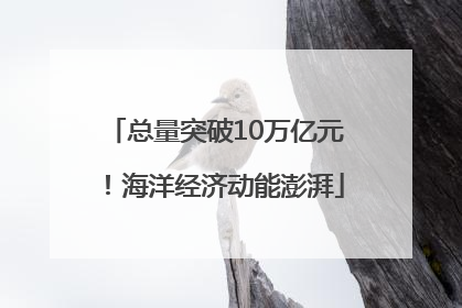 总量突破10万亿元！海洋经济动能澎湃