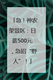 急！神农架景区：日薪500元，急招“野人”！