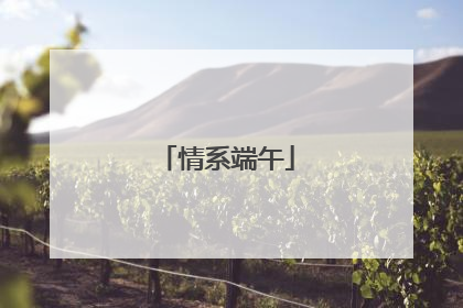 情系端午