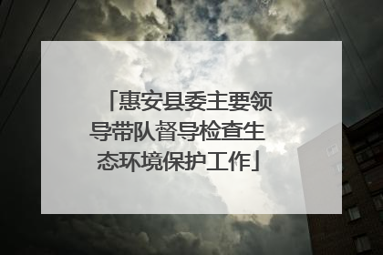 惠安县委主要领导带队督导检查生态环境保护工作