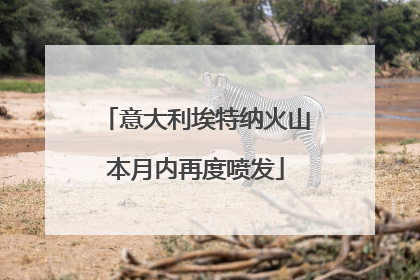 意大利埃特纳火山本月内再度喷发