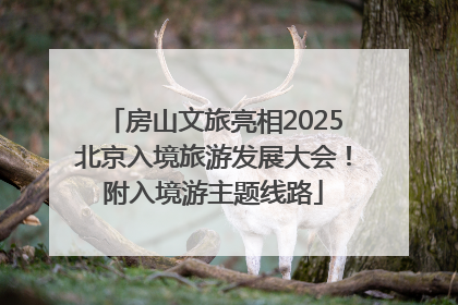 房山文旅亮相2025北京入境旅游发展大会！附入境游主题线路