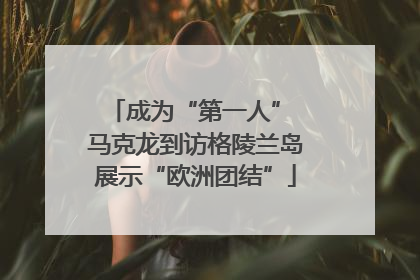成为“第一人” 马克龙到访格陵兰岛展示“欧洲团结”