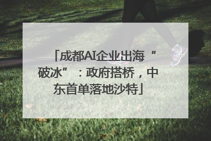 成都AI企业出海“破冰”：政府搭桥，中东首单落地沙特