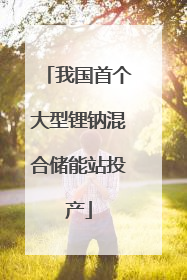 我国首个大型锂钠混合储能站投产