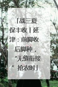 战三夏 保丰收丨延津：前脚收 后脚种，“无缝衔接”抢农时