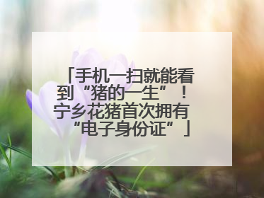 手机一扫就能看到“猪的一生”！宁乡花猪首次拥有“电子身份证”